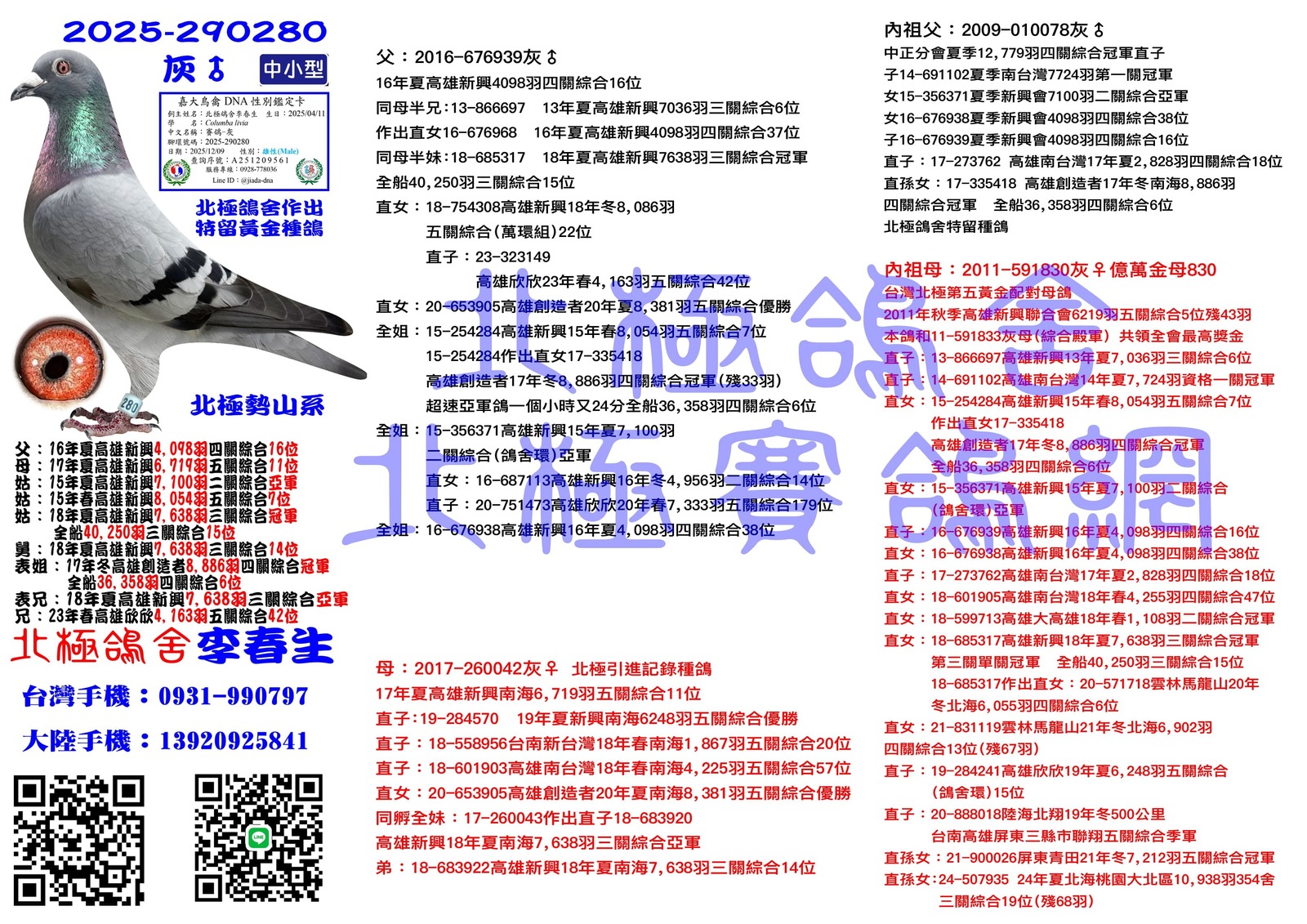血統書水印示意圖