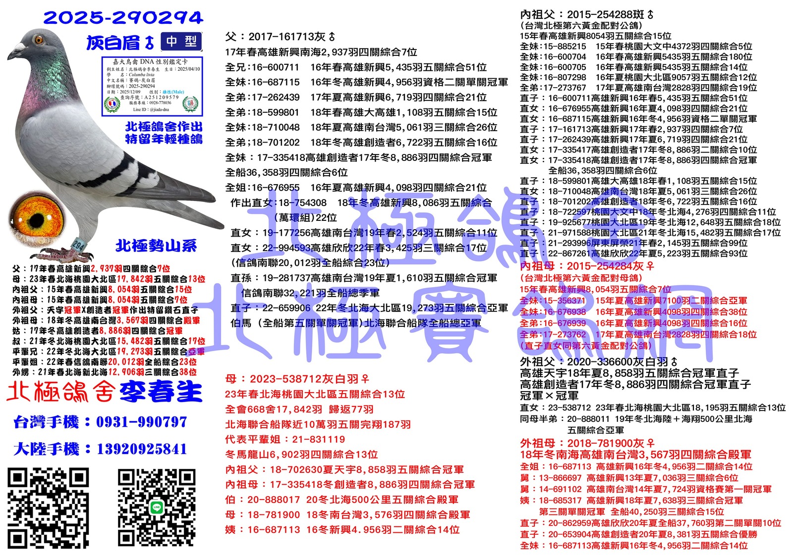 血統書水印示意圖