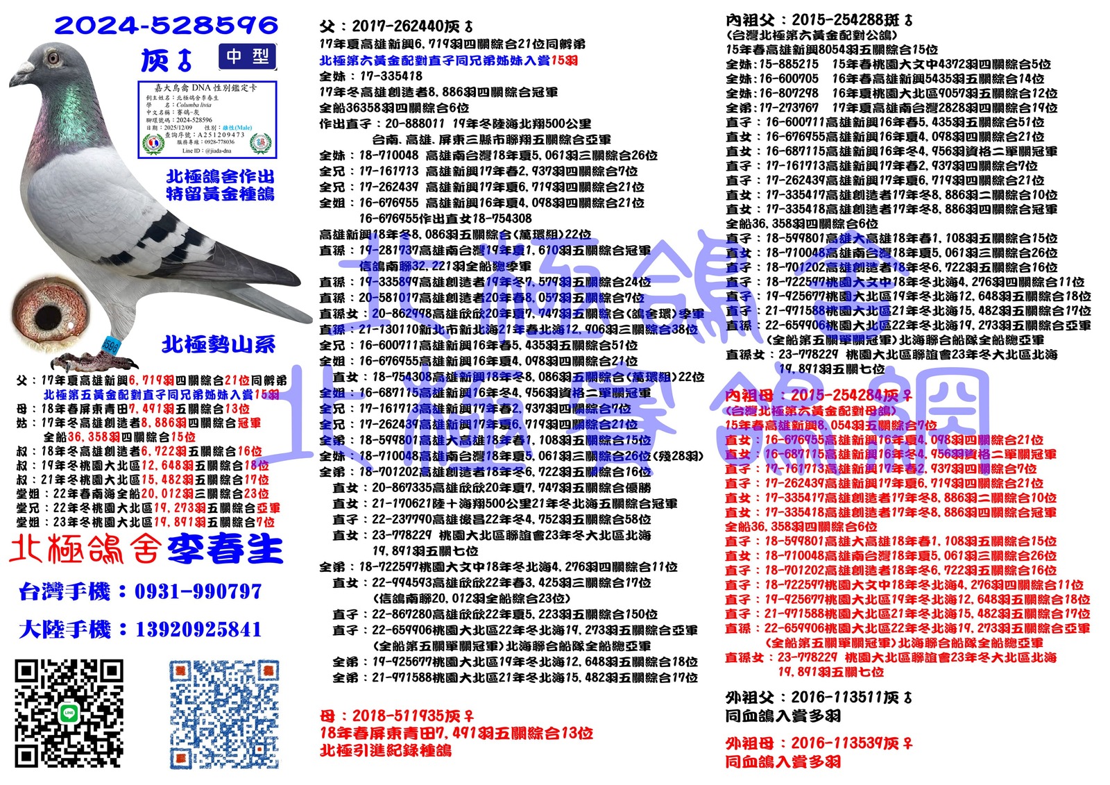 血統書水印示意圖