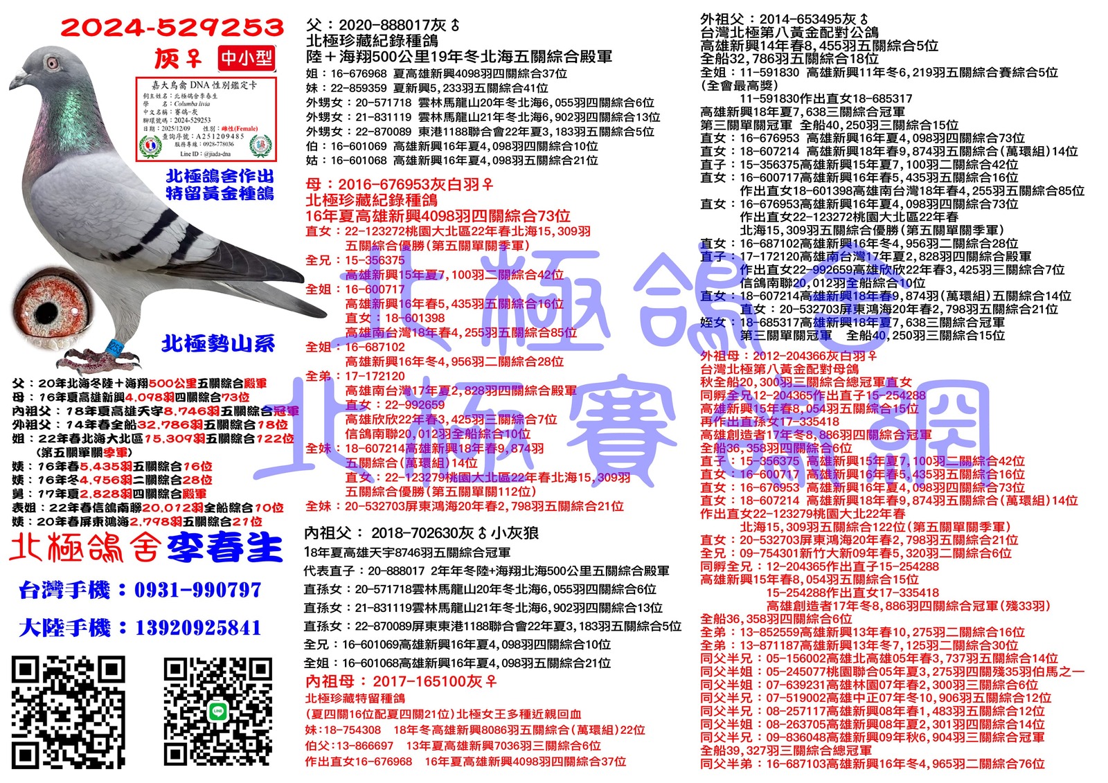 血統書水印示意圖