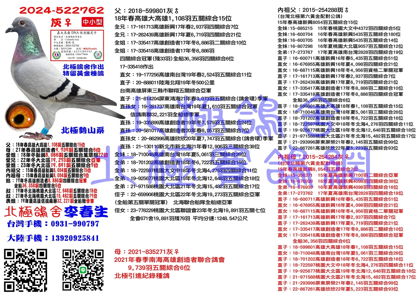 血統書水印示意圖