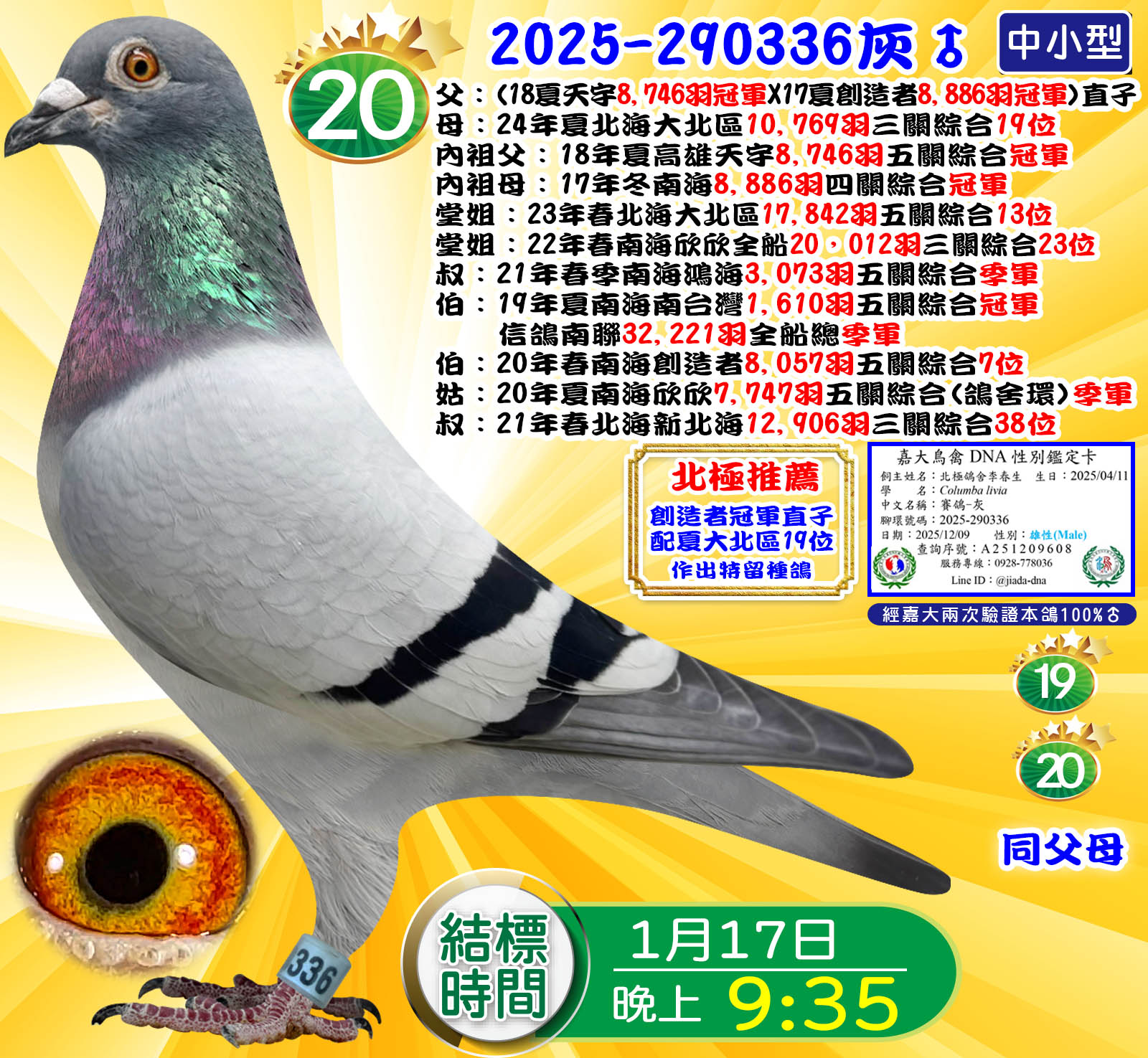 2025-290336灰♂