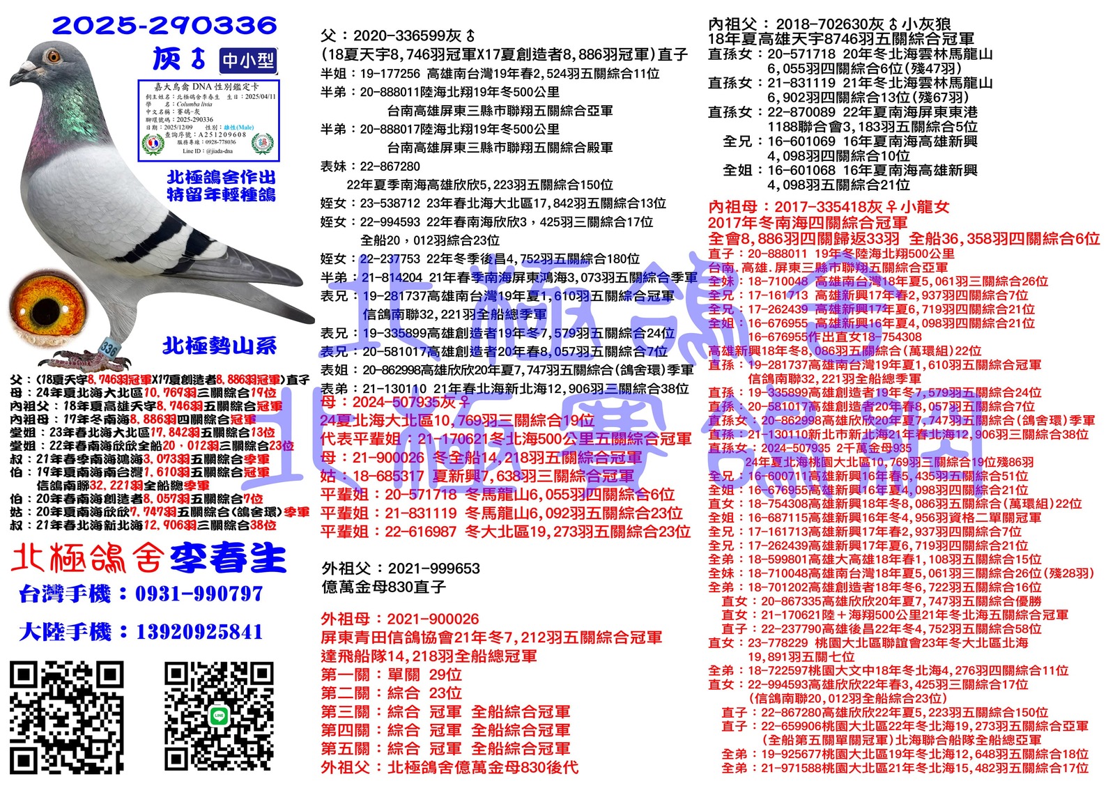 血統書水印示意圖