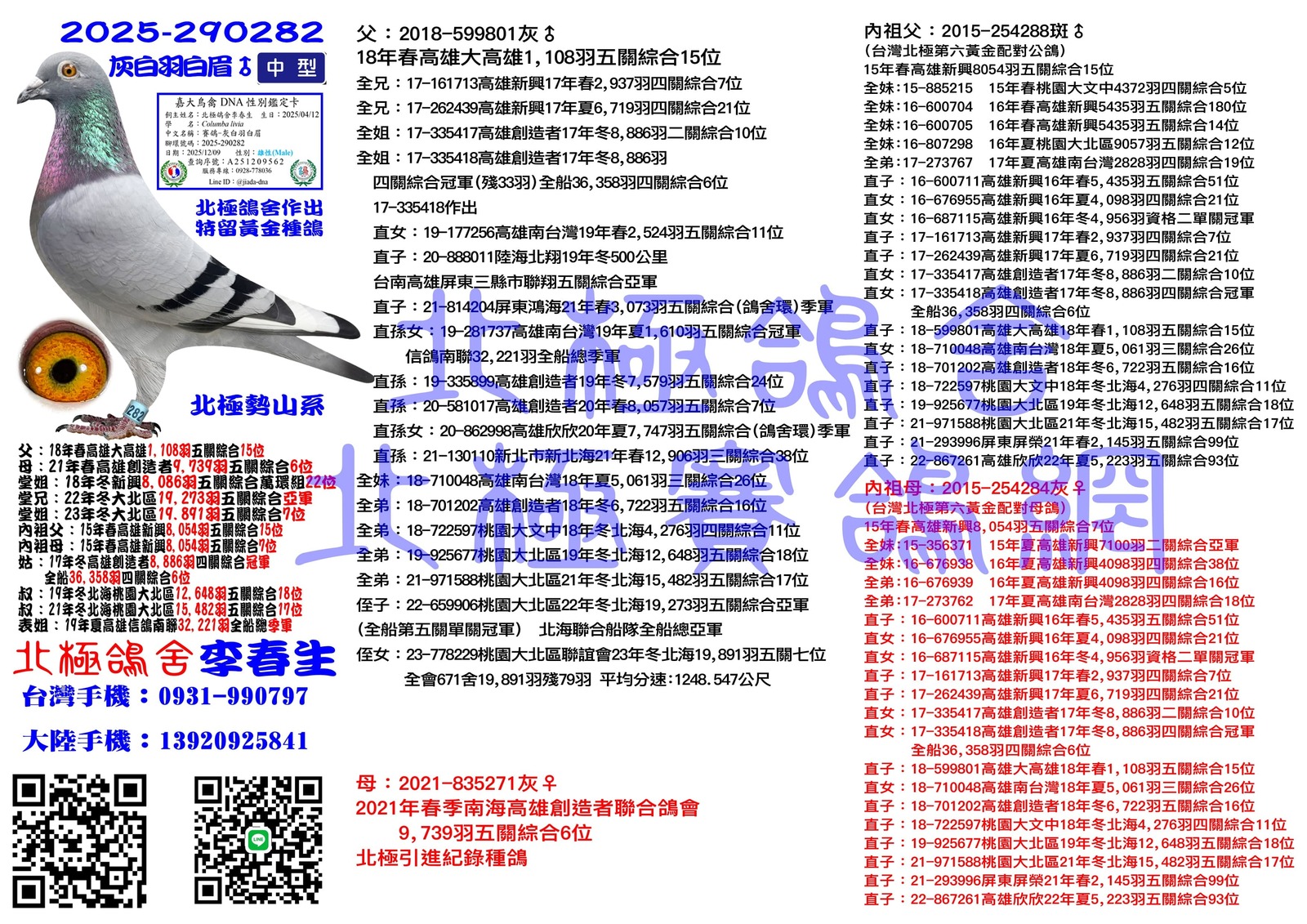 血統書水印示意圖