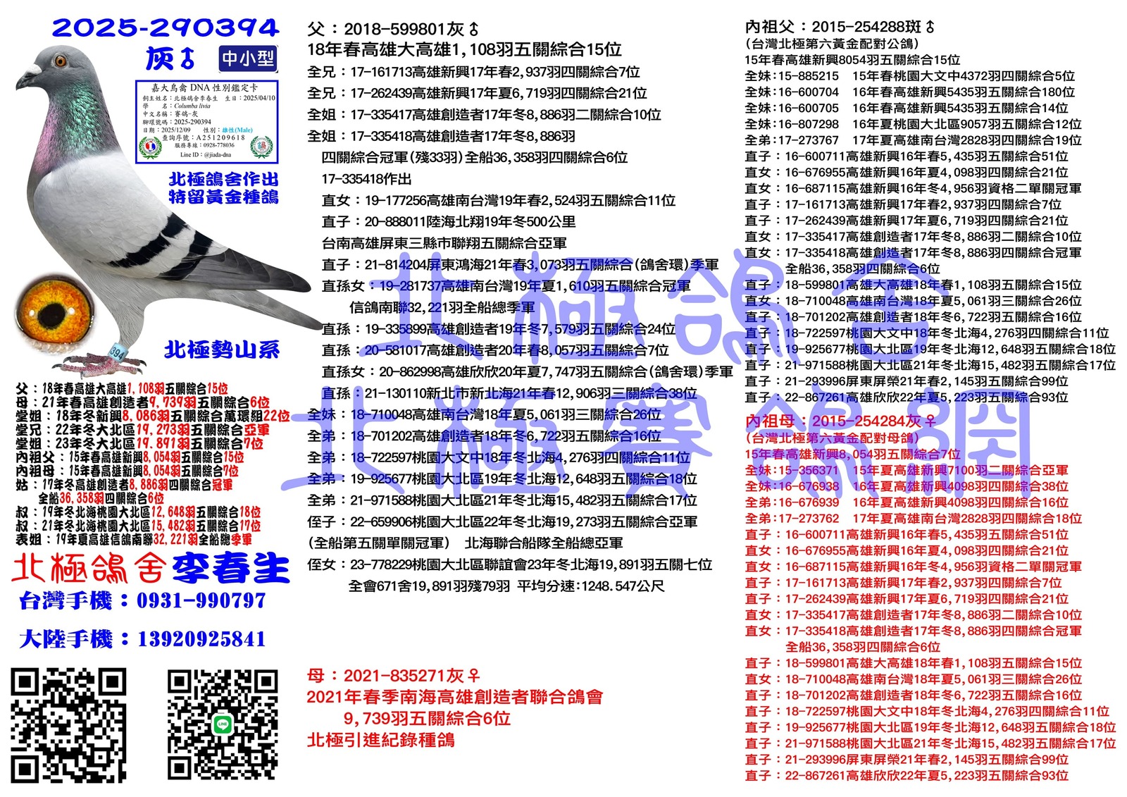 血統書水印示意圖