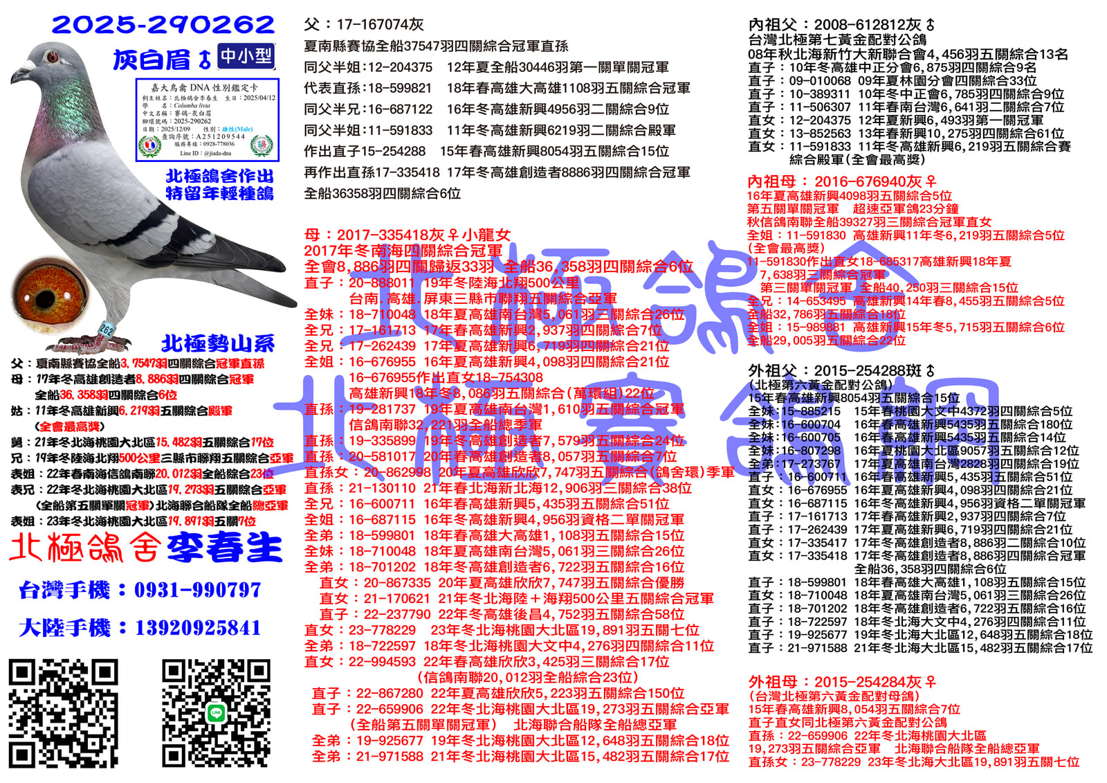 血統書水印示意圖