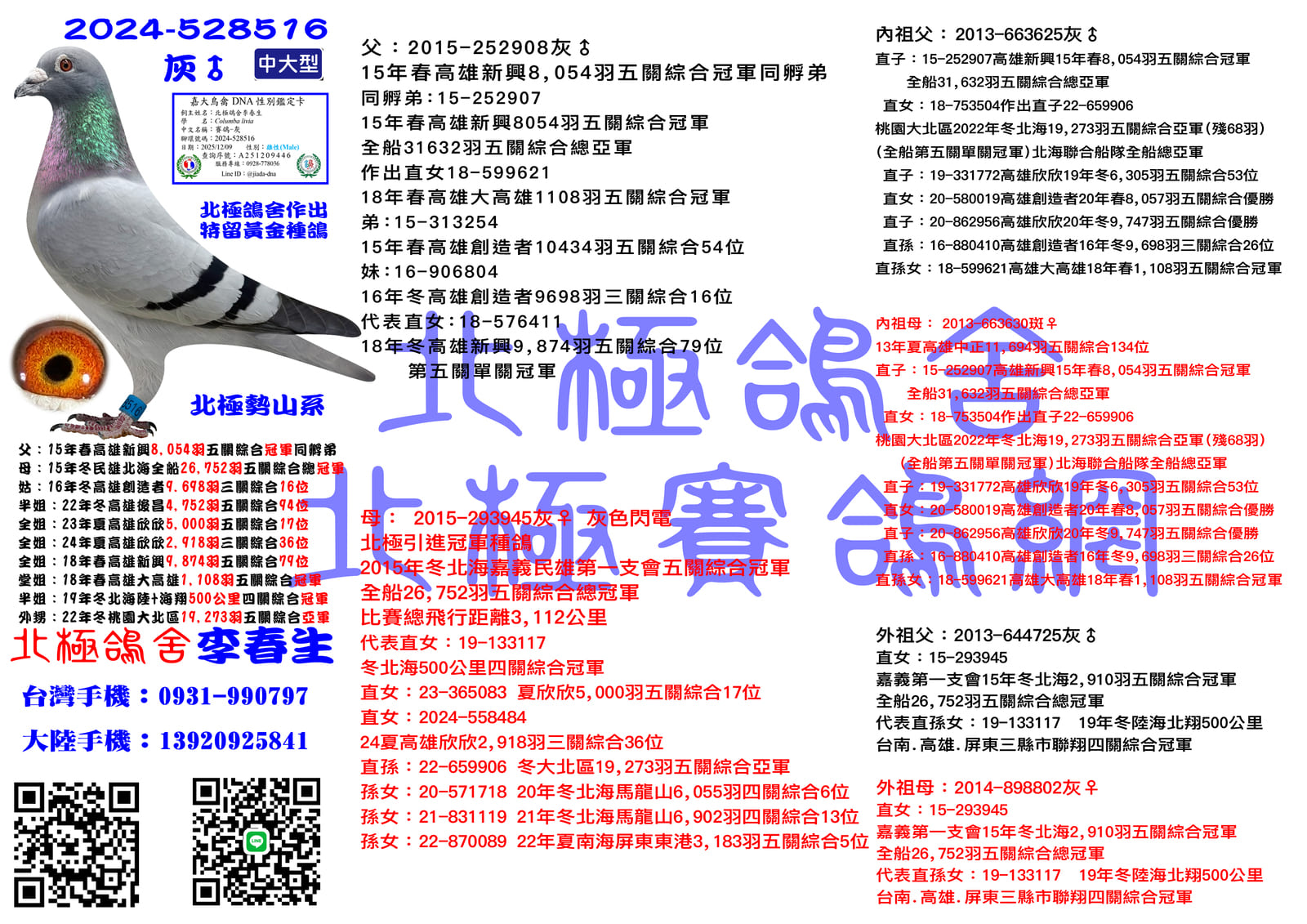 血統書水印示意圖