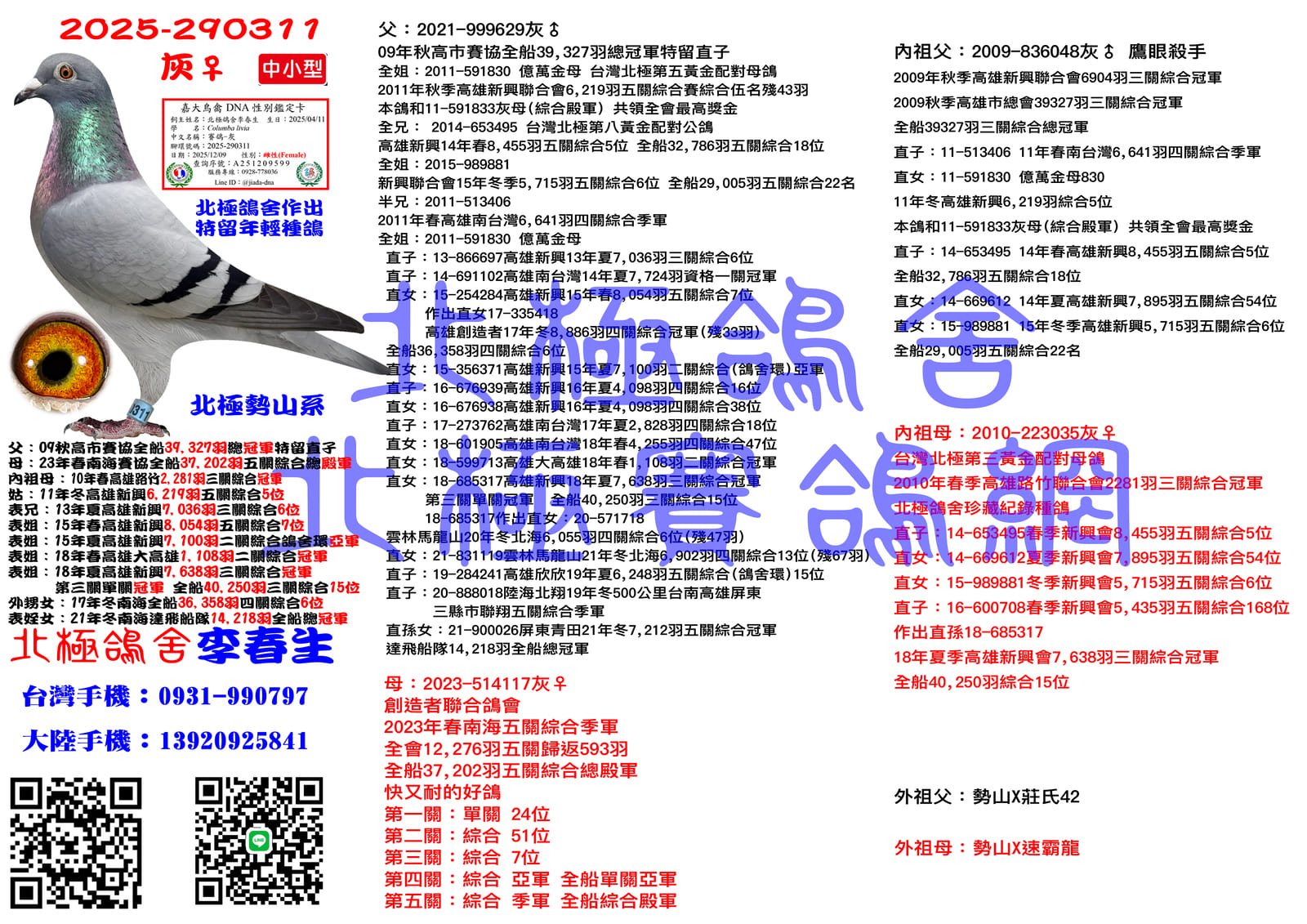 血統書水印示意圖