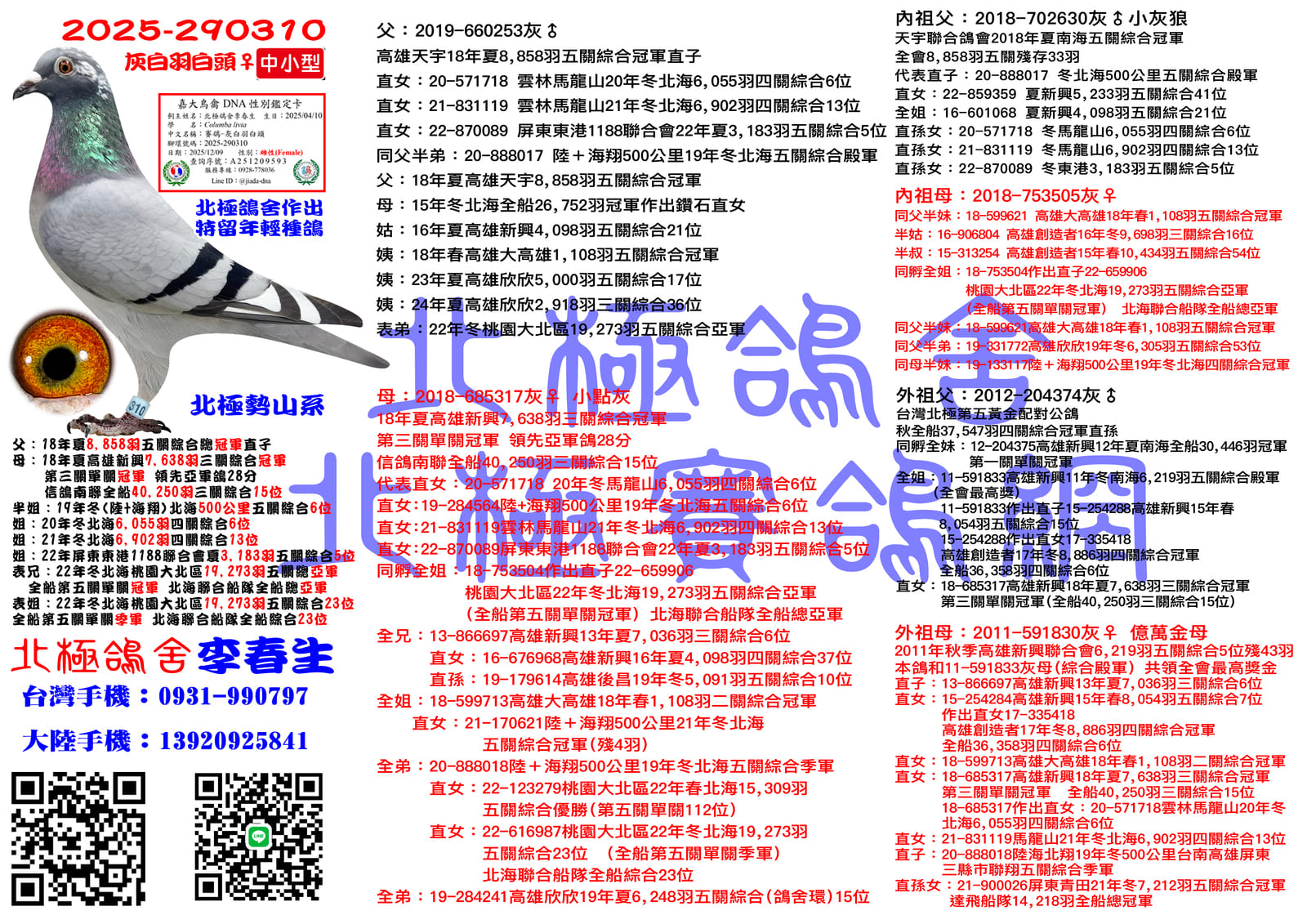 血統書水印示意圖