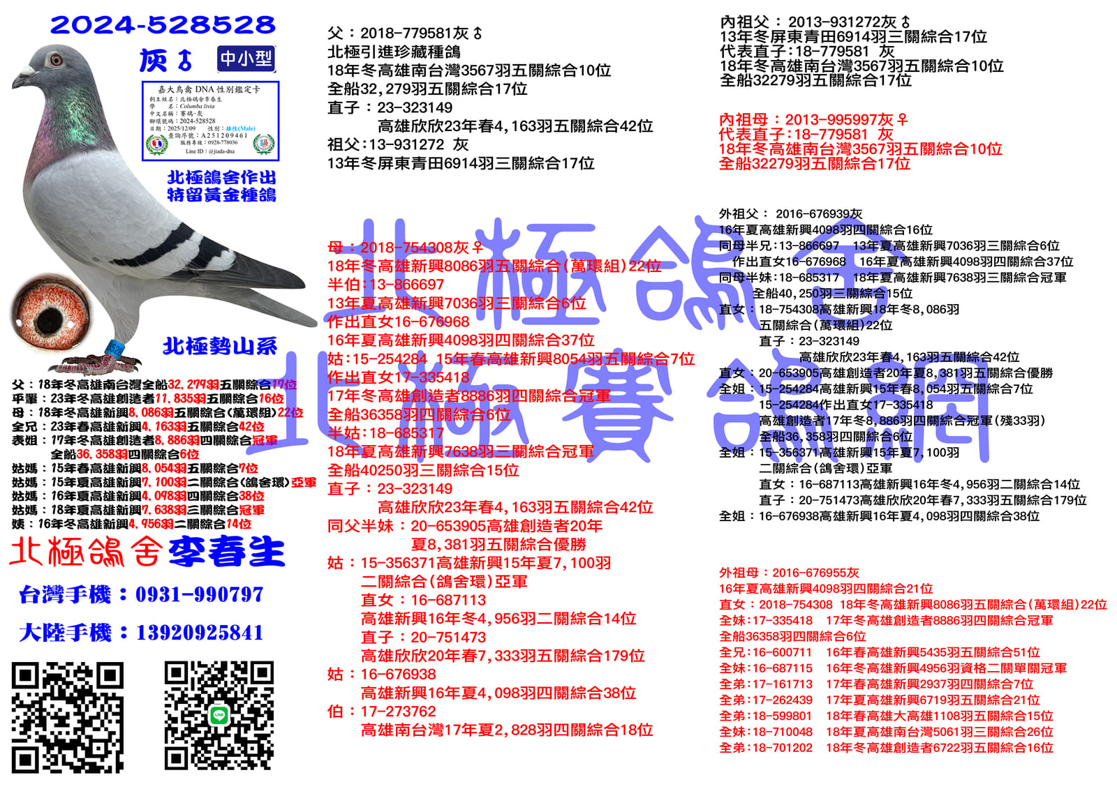 血統書水印示意圖