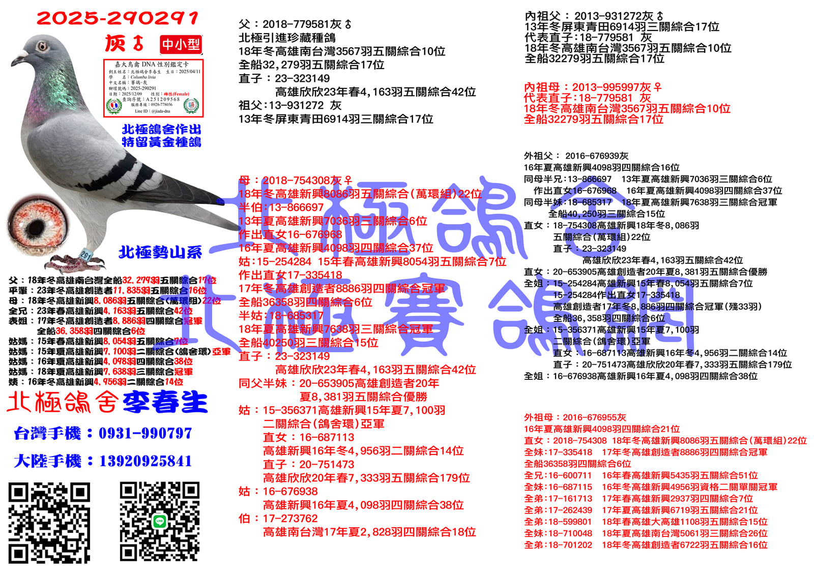 血統書水印示意圖