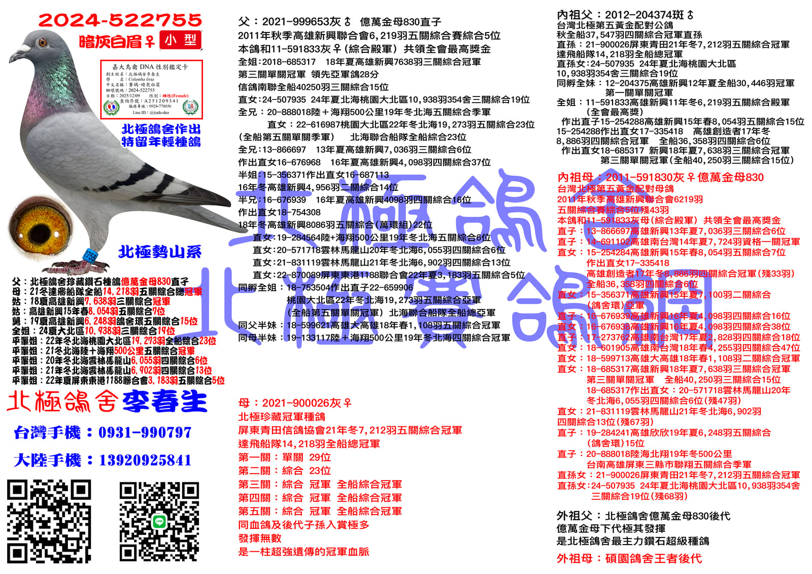 血統書水印示意圖