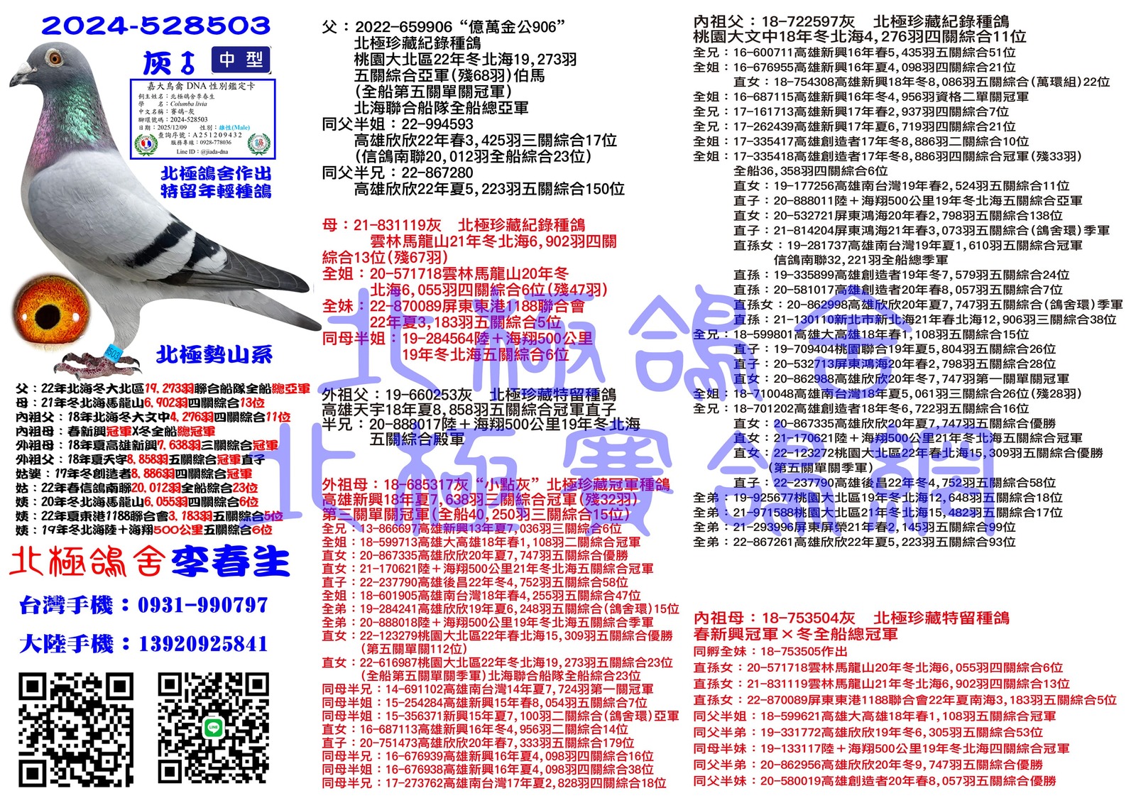血統書水印示意圖