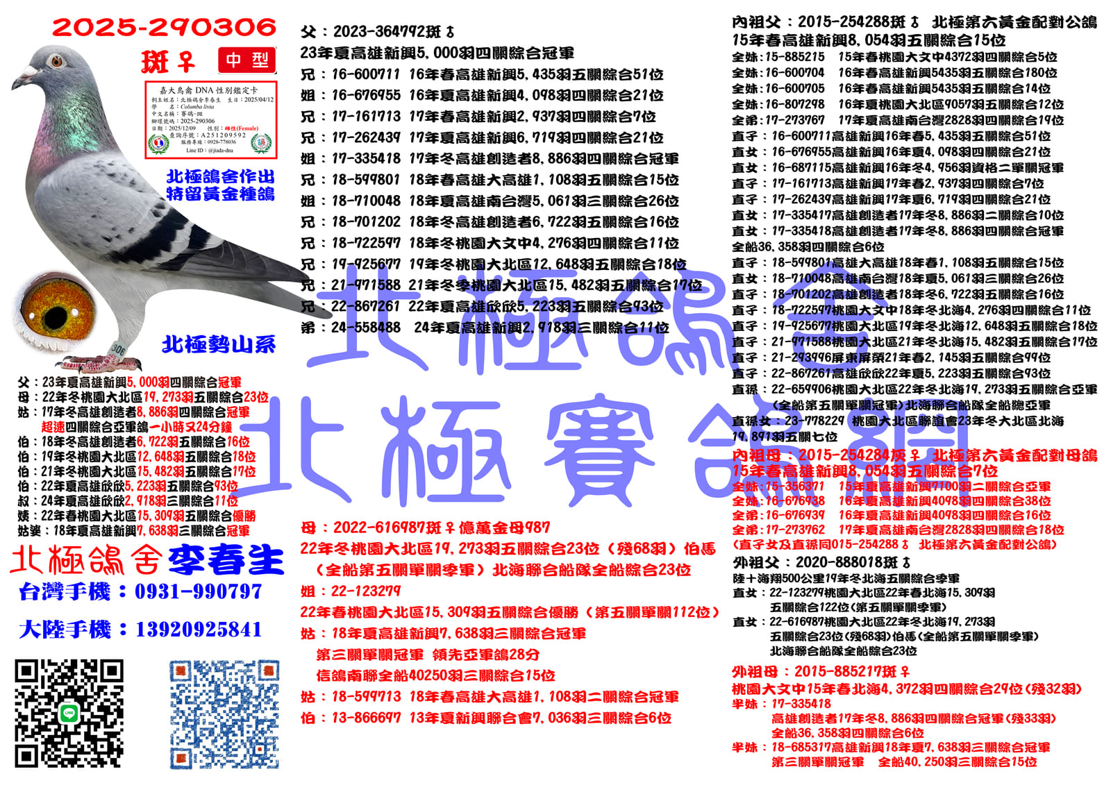 血統書水印示意圖