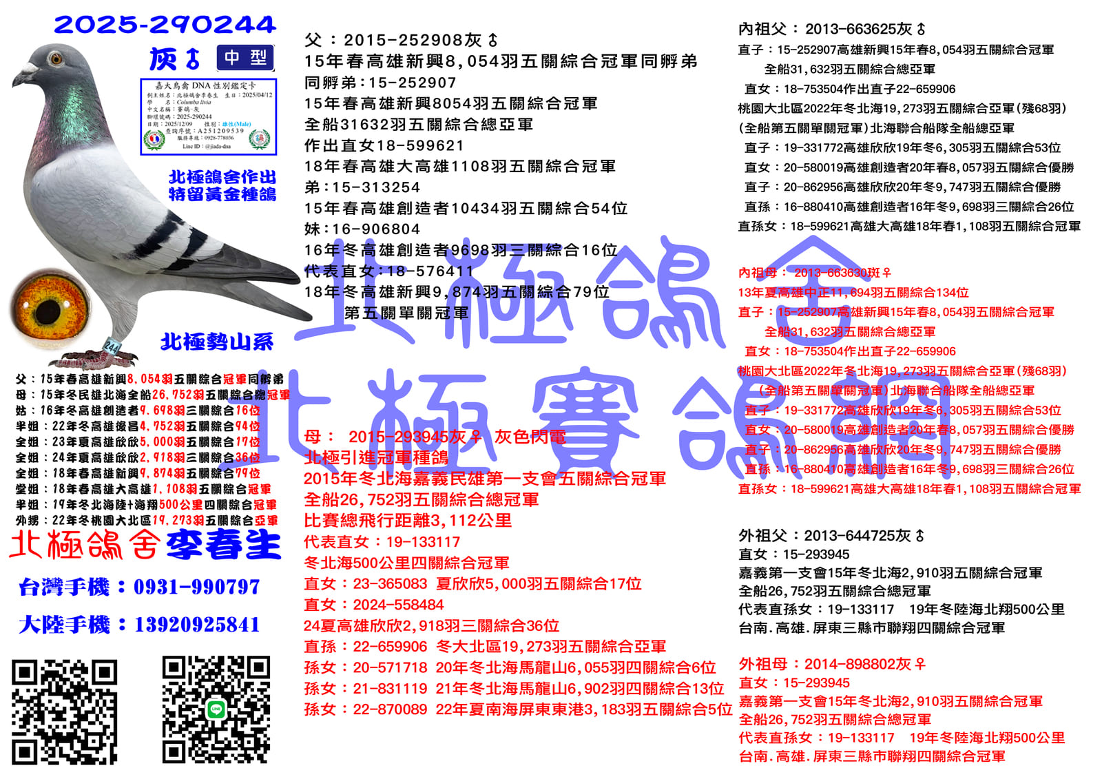 血統書水印示意圖