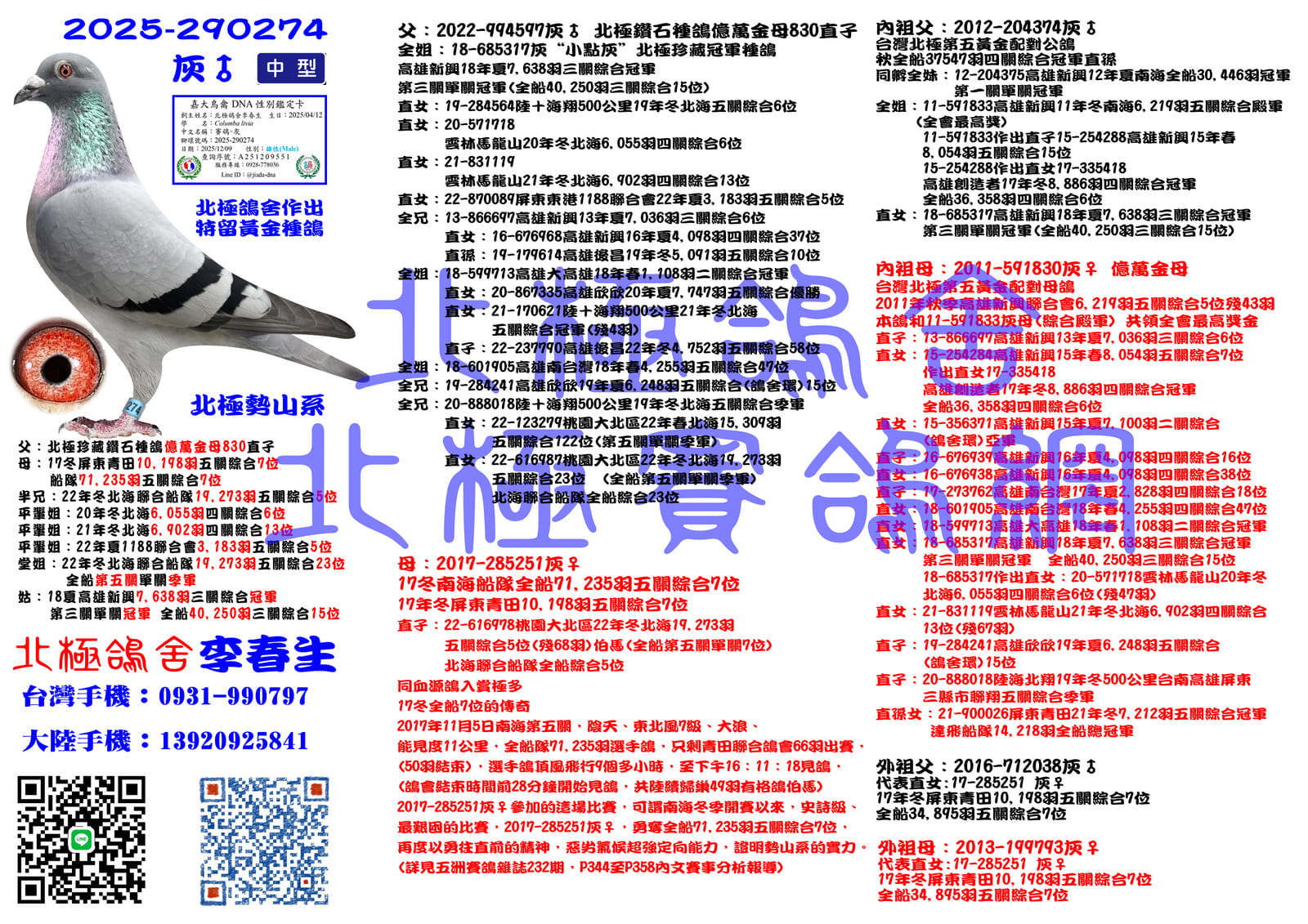 血統書水印示意圖