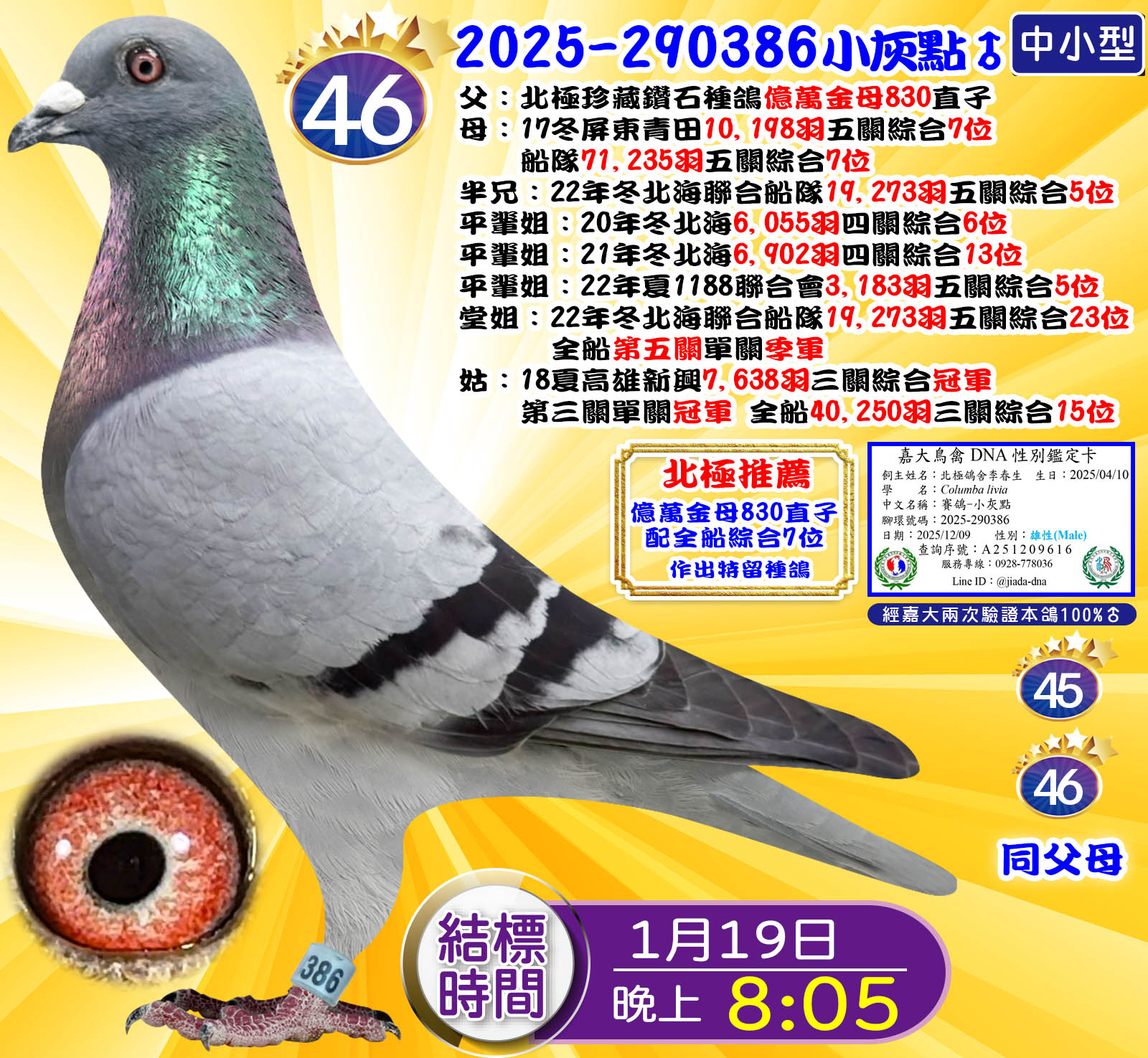 2025-290386小灰點♂