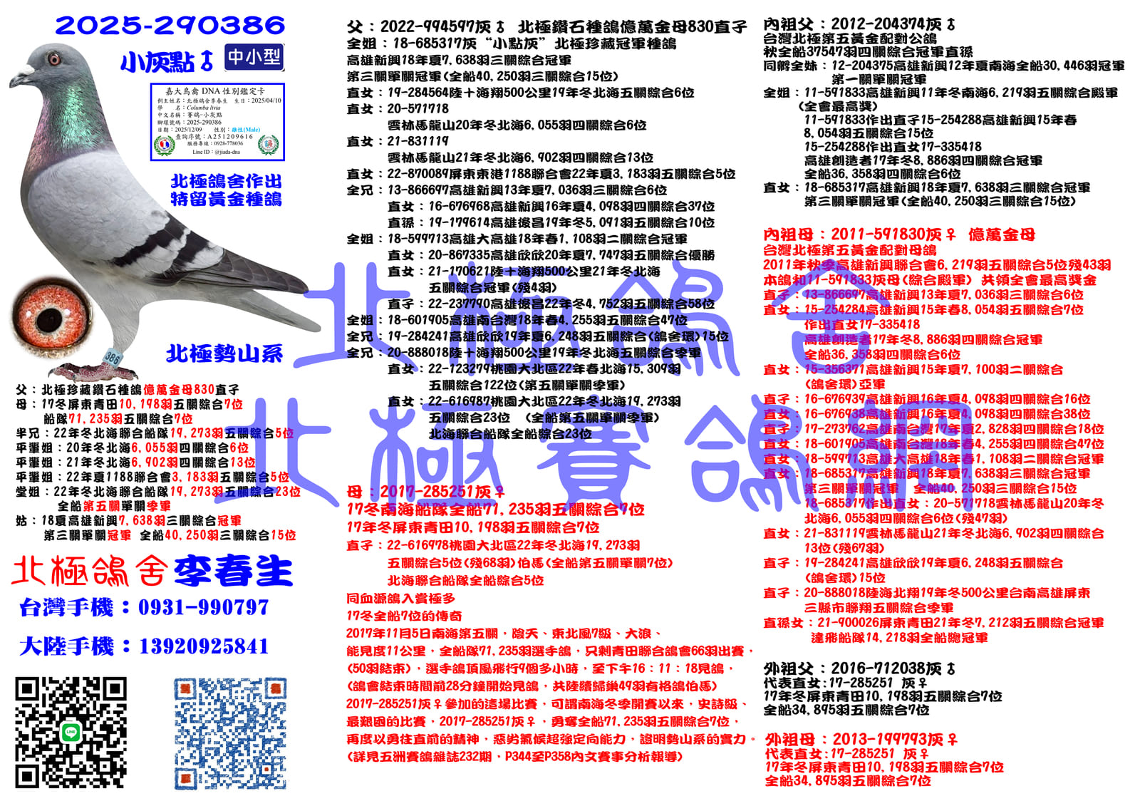 血統書水印示意圖