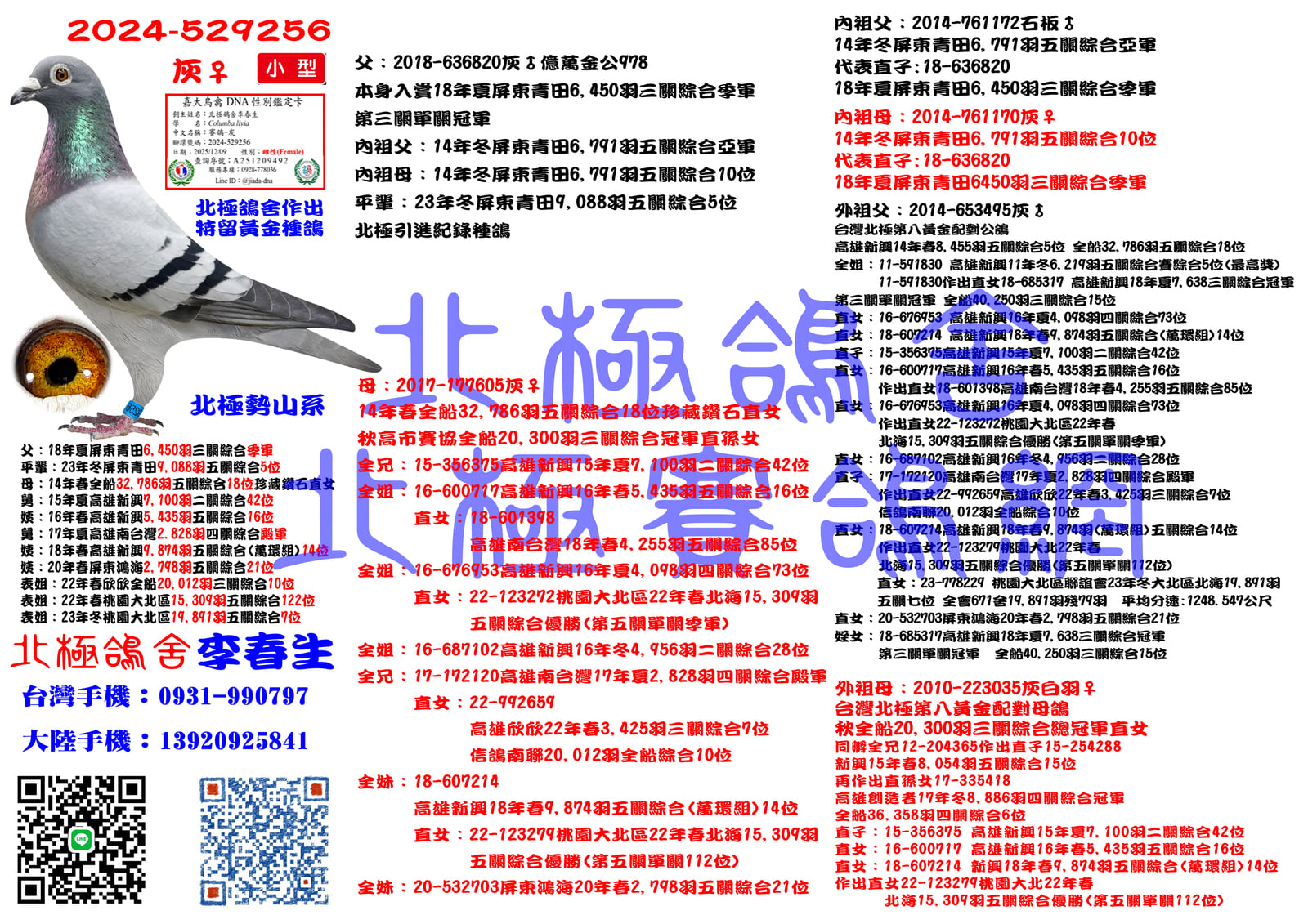 血統書水印示意圖