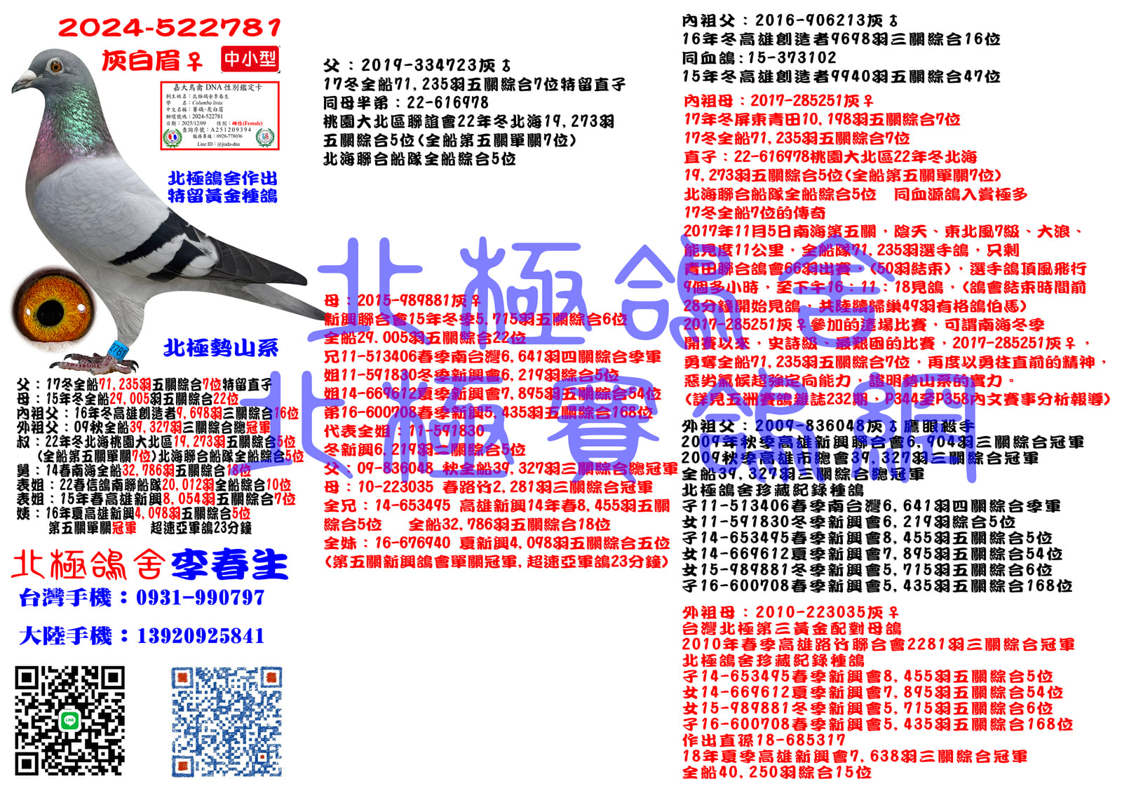 血統書水印示意圖