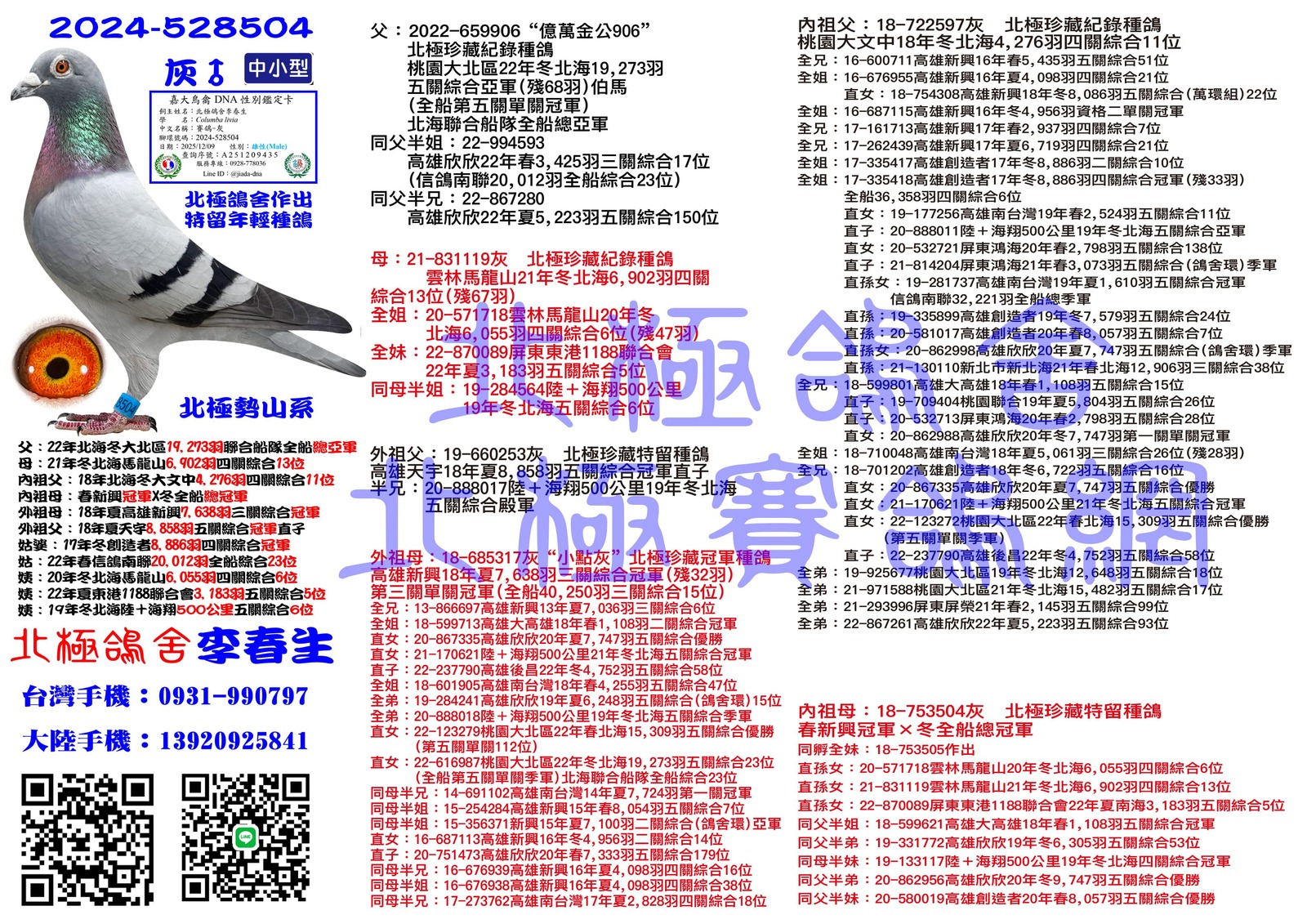 血統書水印示意圖