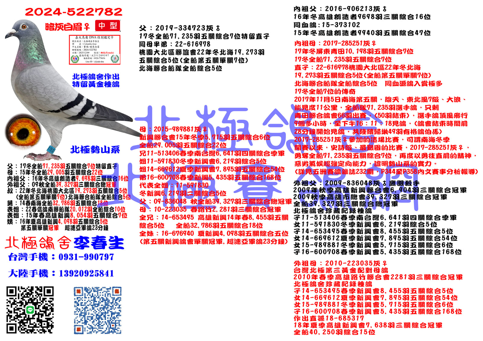 血統書水印示意圖