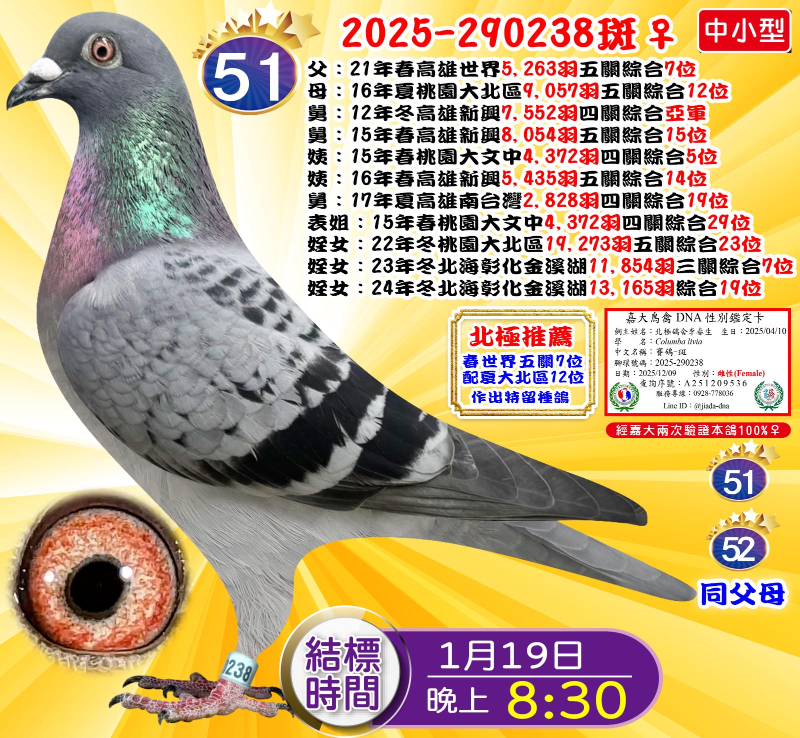 2025-290238斑♀
