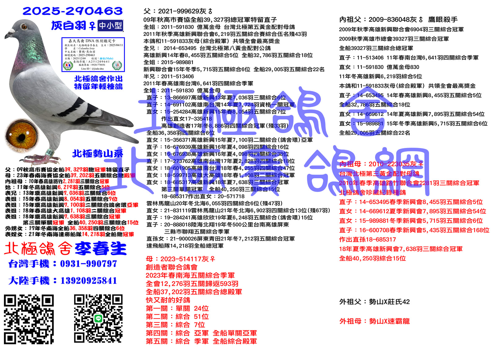 血統書水印示意圖