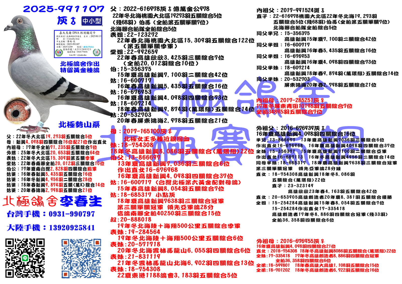 血統書水印示意圖