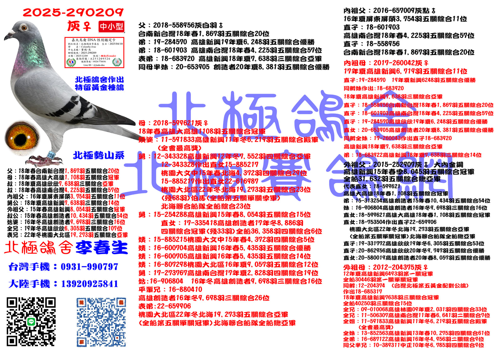 血統書水印示意圖