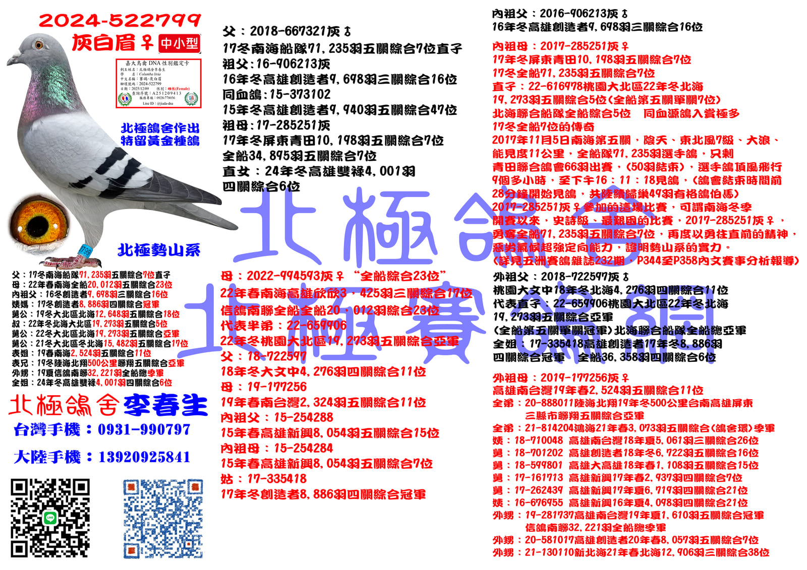 血統書水印示意圖