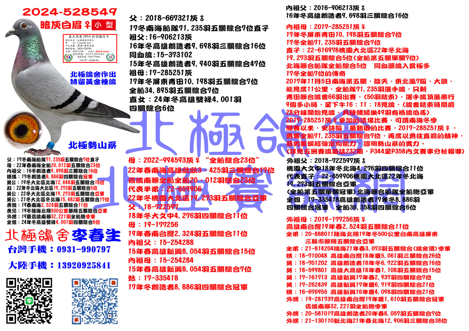 血統書水印示意圖