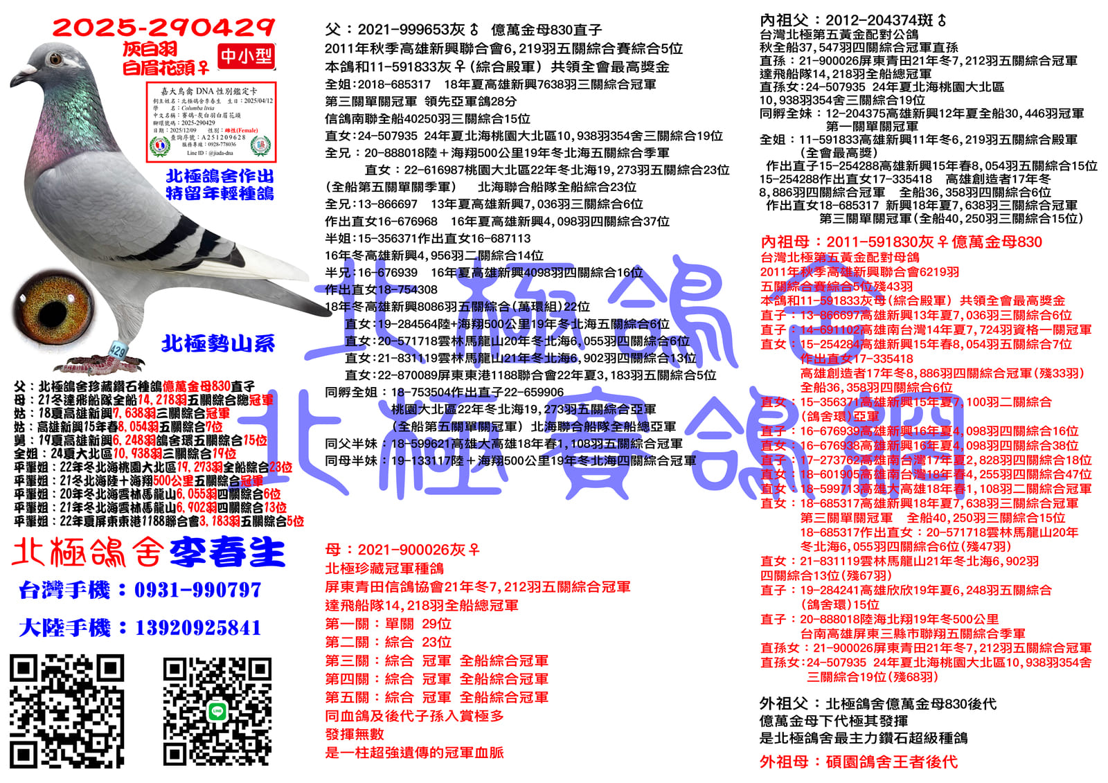 血統書水印示意圖