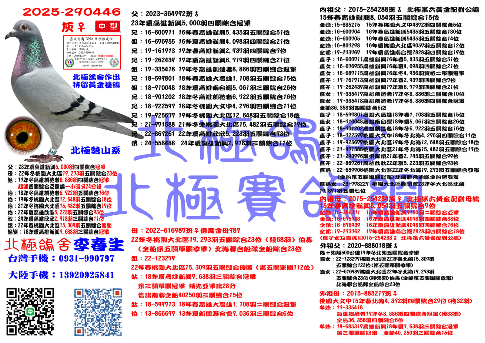 血統書水印示意圖