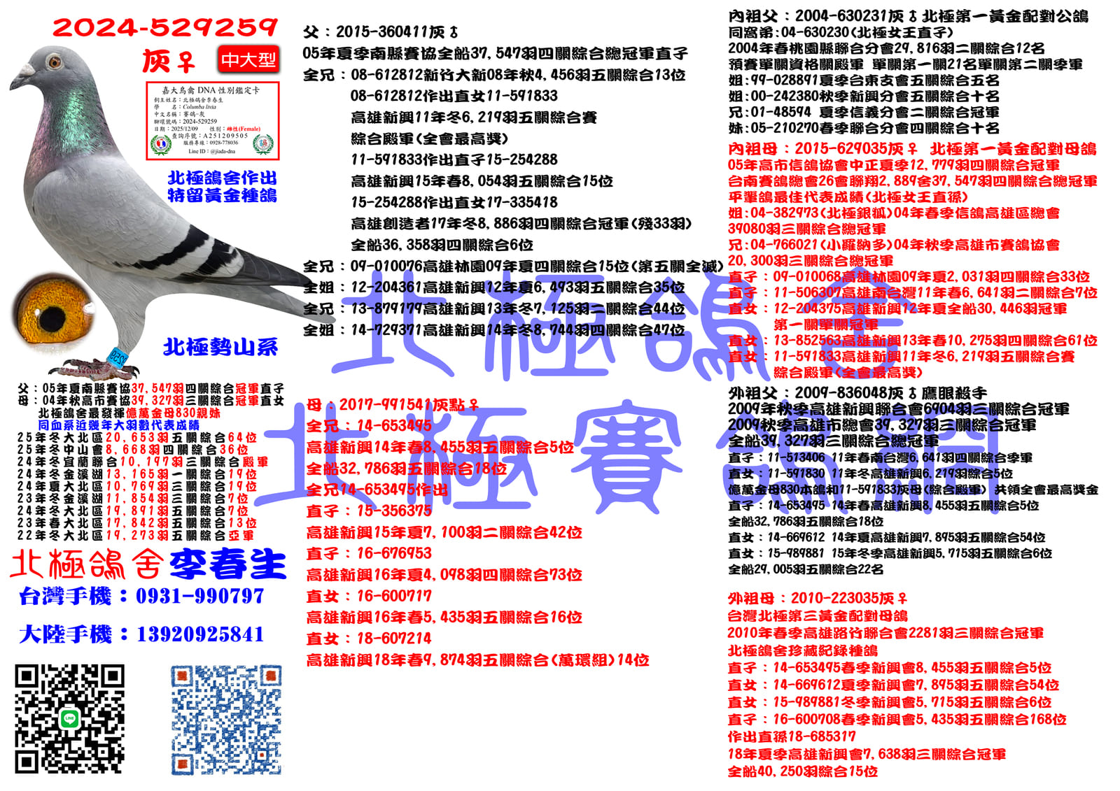 血統書水印示意圖