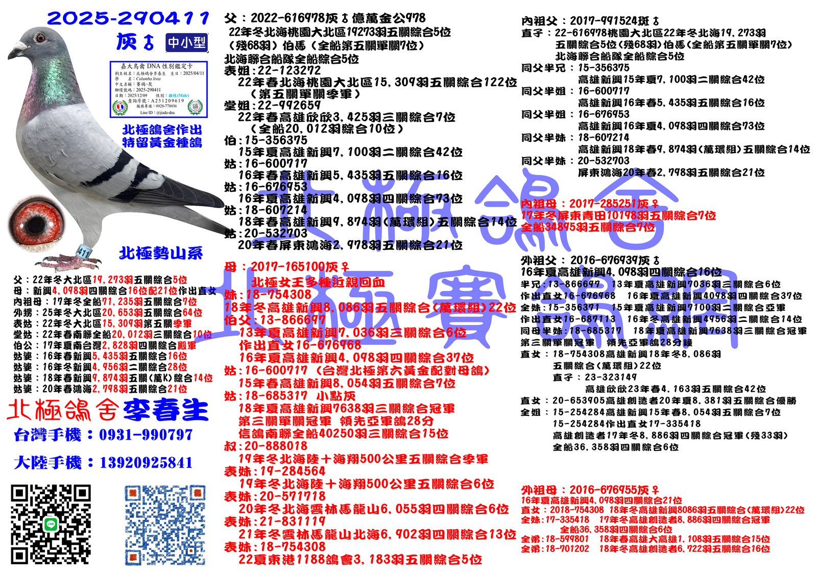 血統書水印示意圖