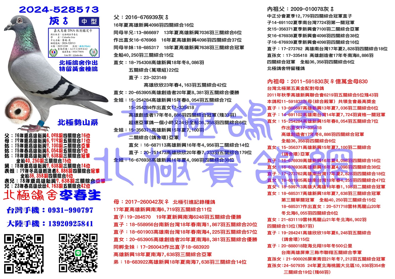 血統書水印示意圖