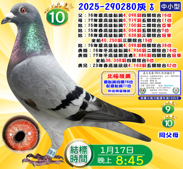 2025-290280灰♂ 2025-290280灰♂