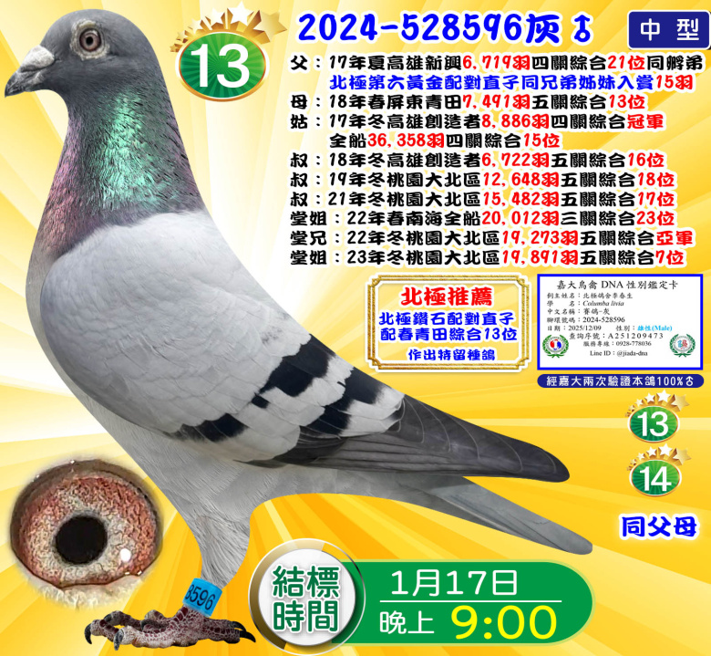 2024-528596灰♂ 2024-528596灰♂