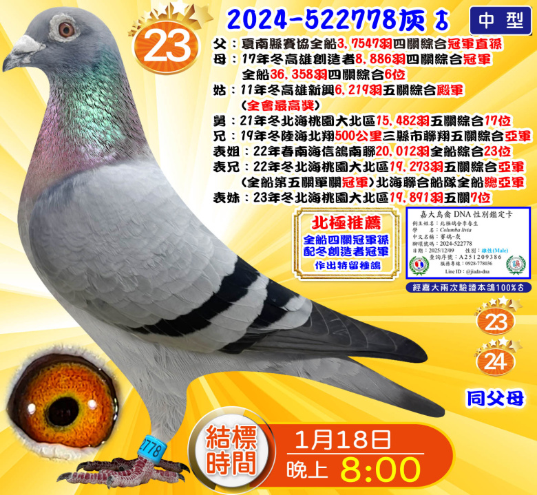 2024-522778灰♂ 2024-522778灰♂