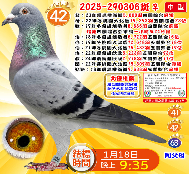 2025-290306斑♀ 2025-290306斑♀