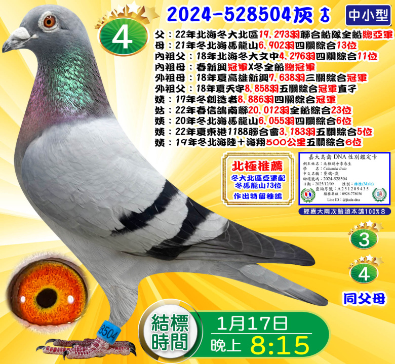 2024-528504灰♂ 2024-528504灰♂