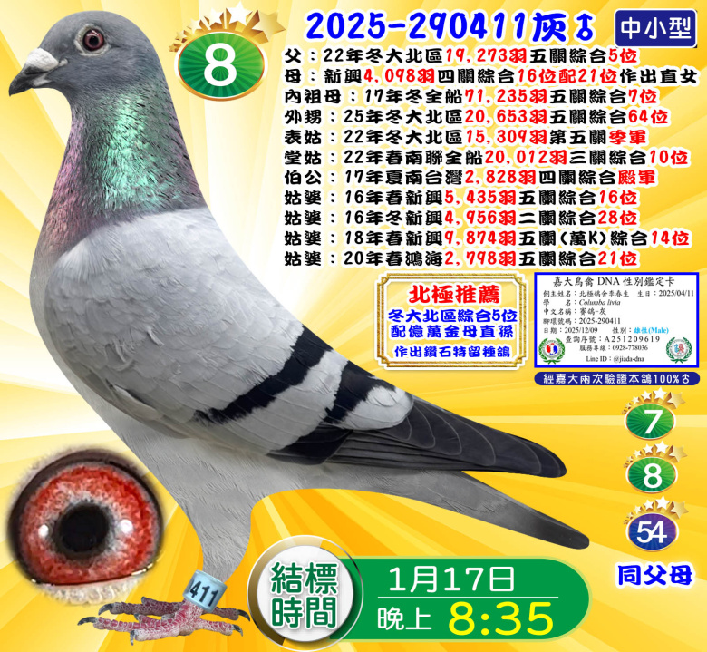 2025-290411灰♂ 2025-290411灰♂