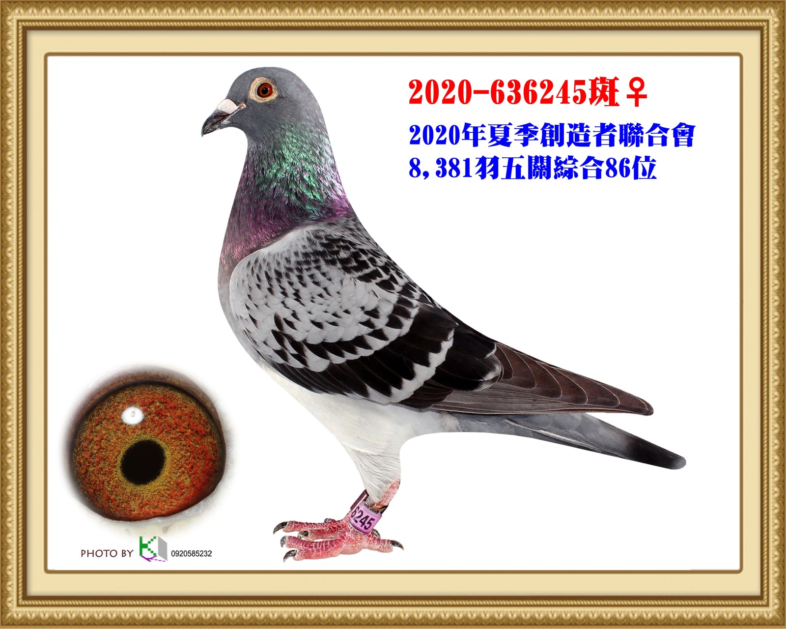 2020-636245 斑母.jpg