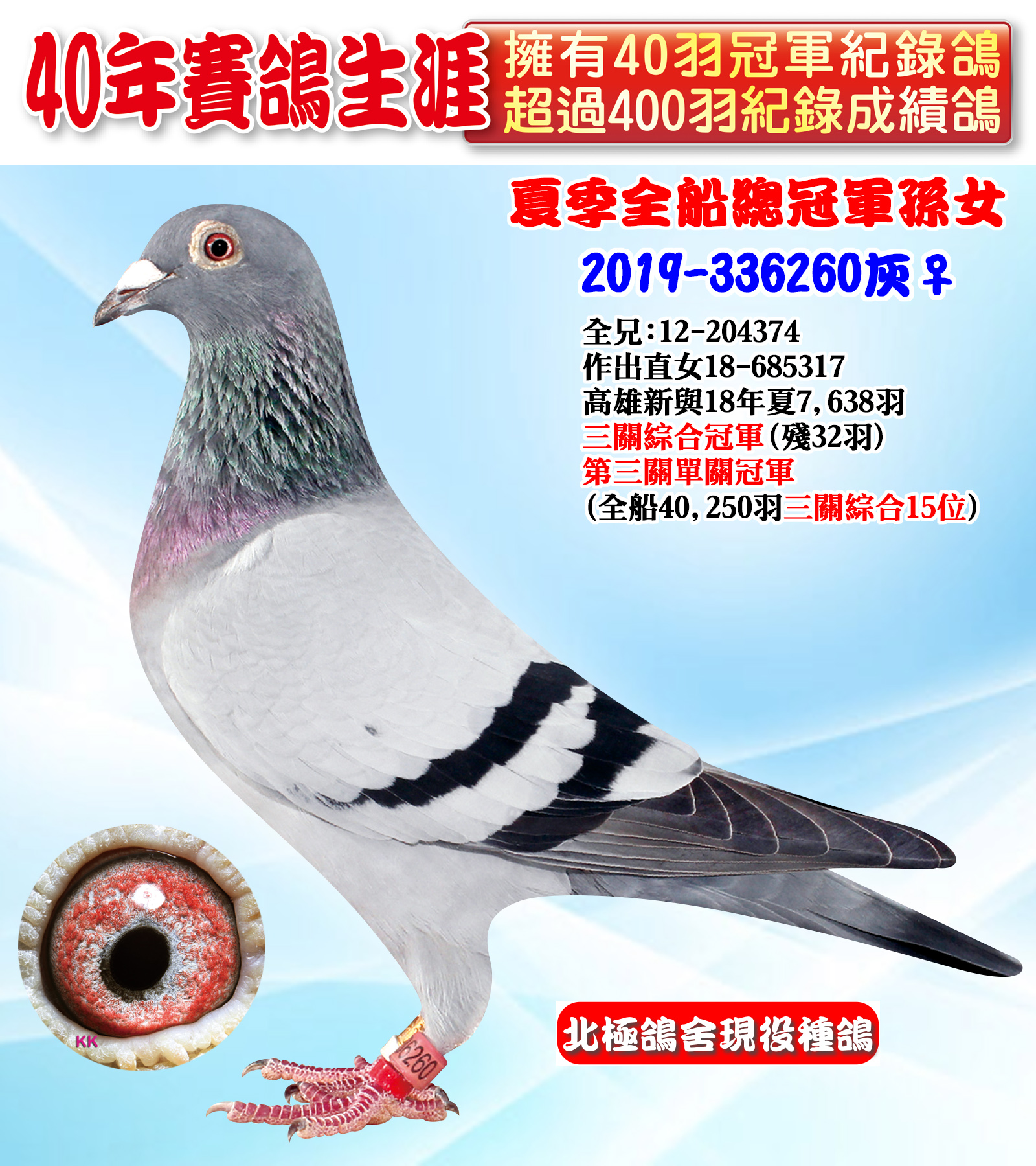 2019-336260.jpg