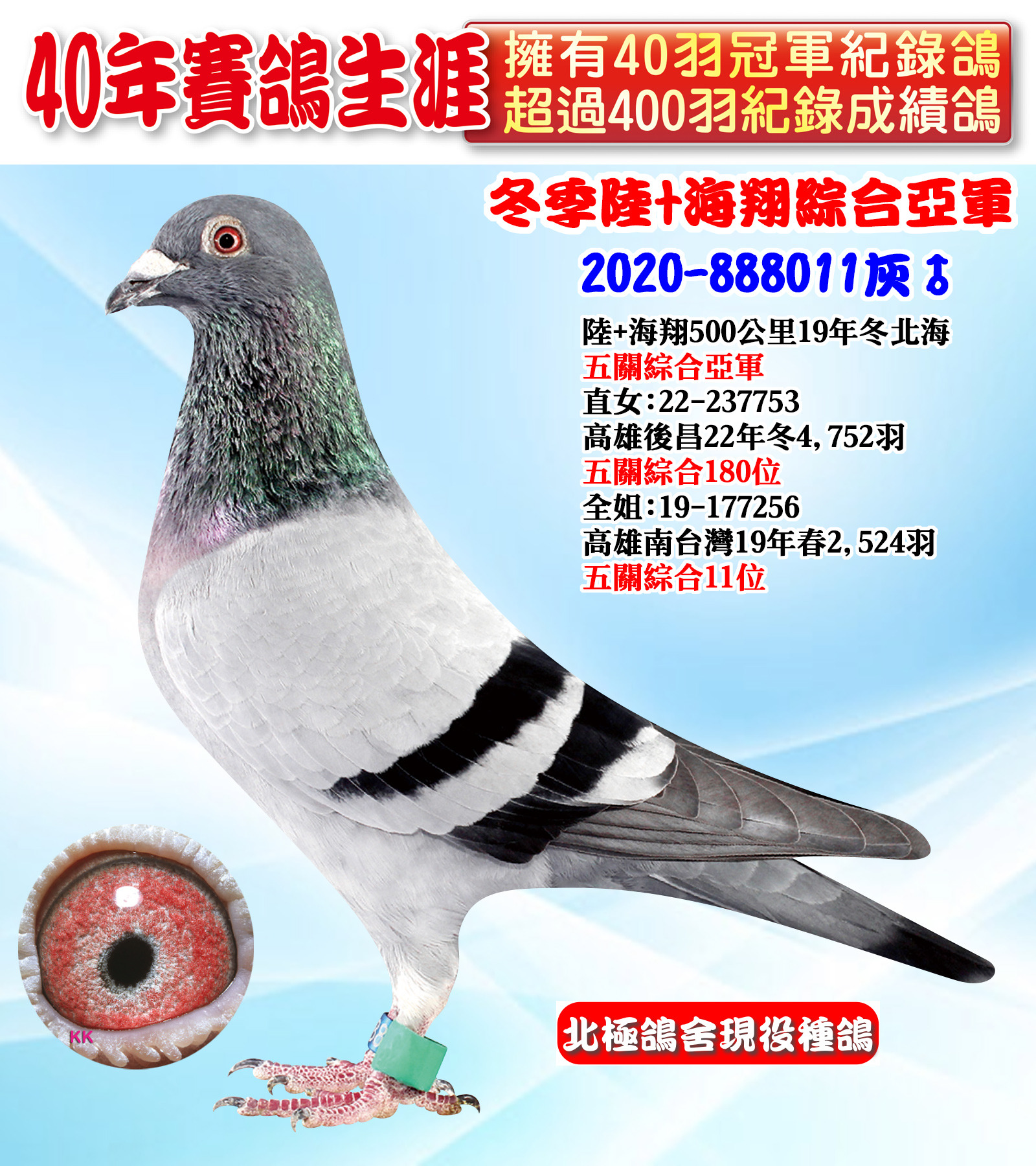 2020-888011.jpg