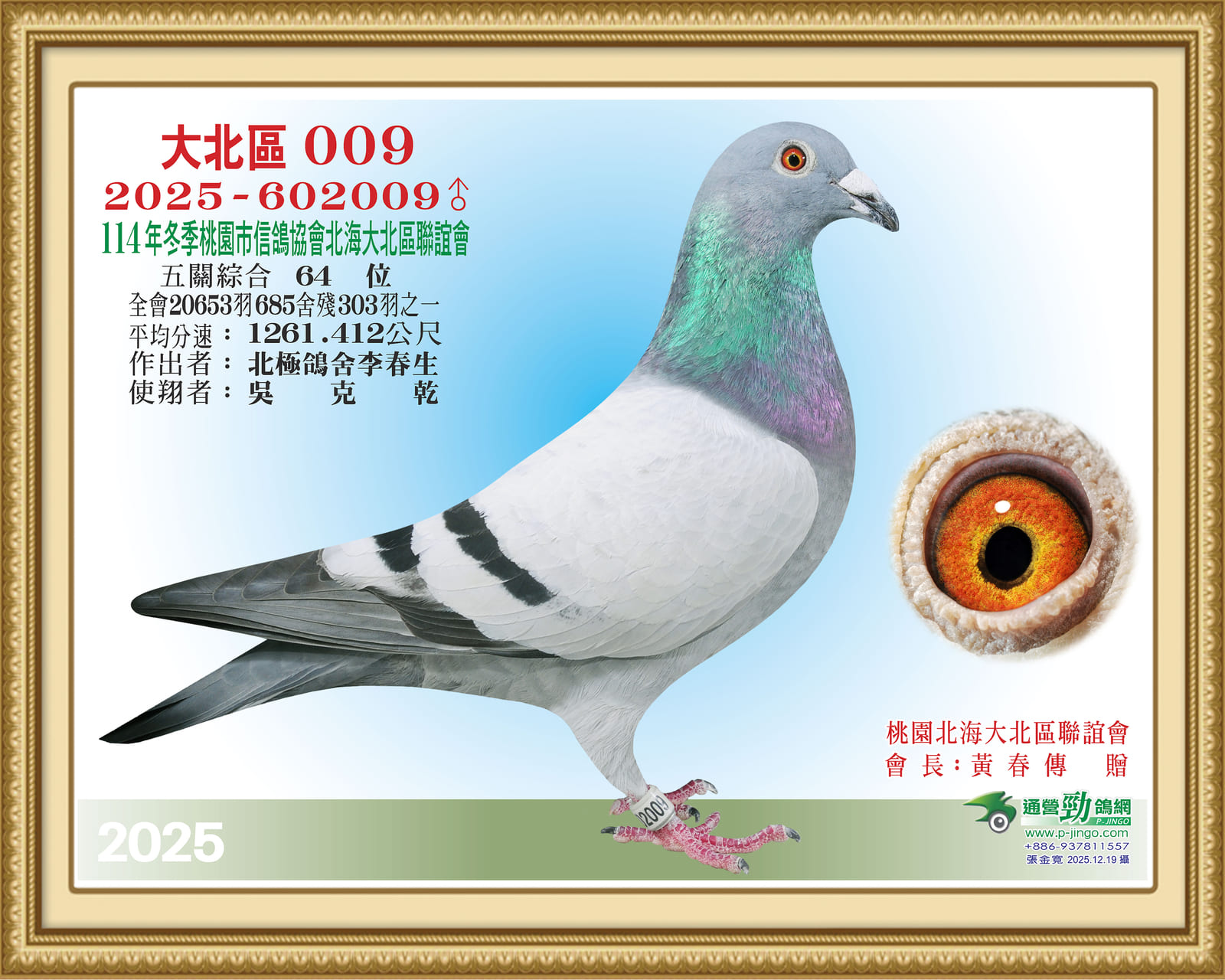 入賞鴿2025-602009.jpg