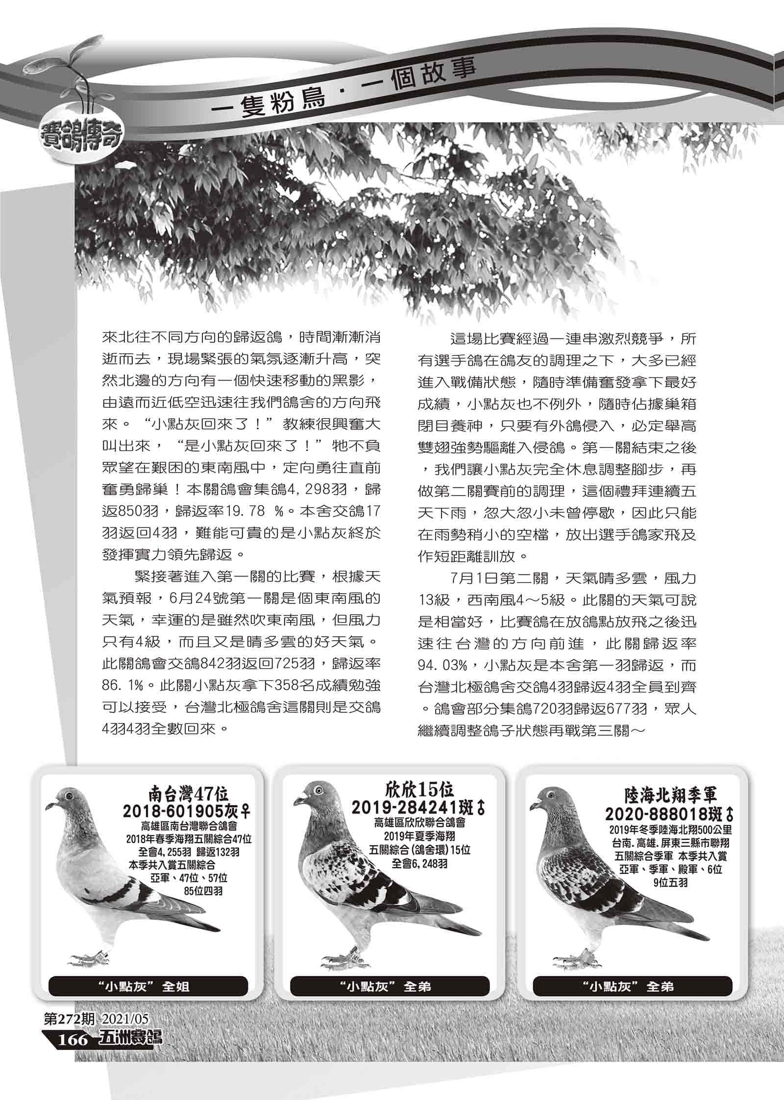 小點灰組稿-7.jpg