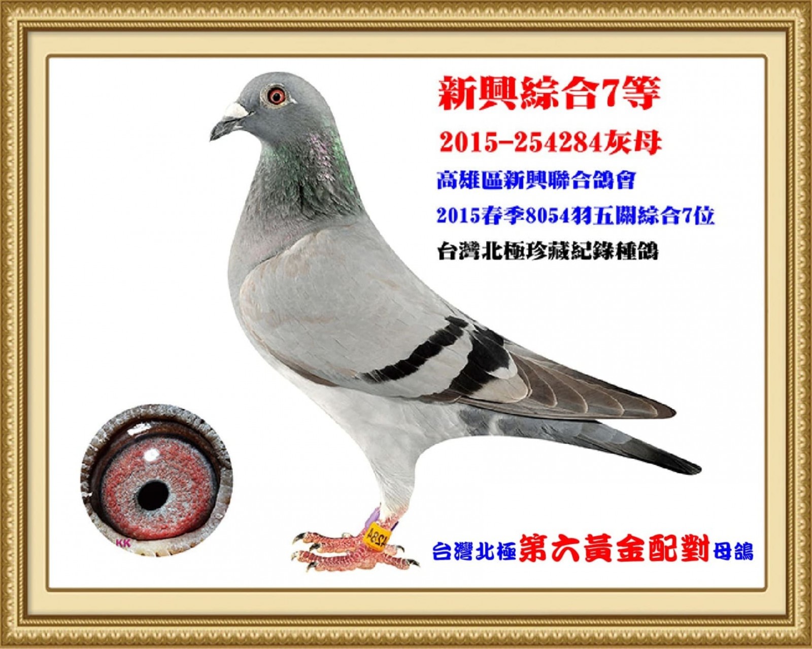 2015-254284.jpg