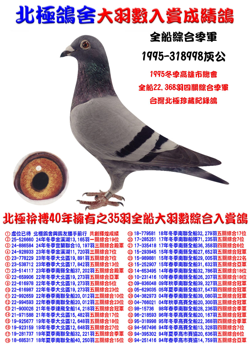 全船22,368羽四關綜合季軍 1995-318998灰公